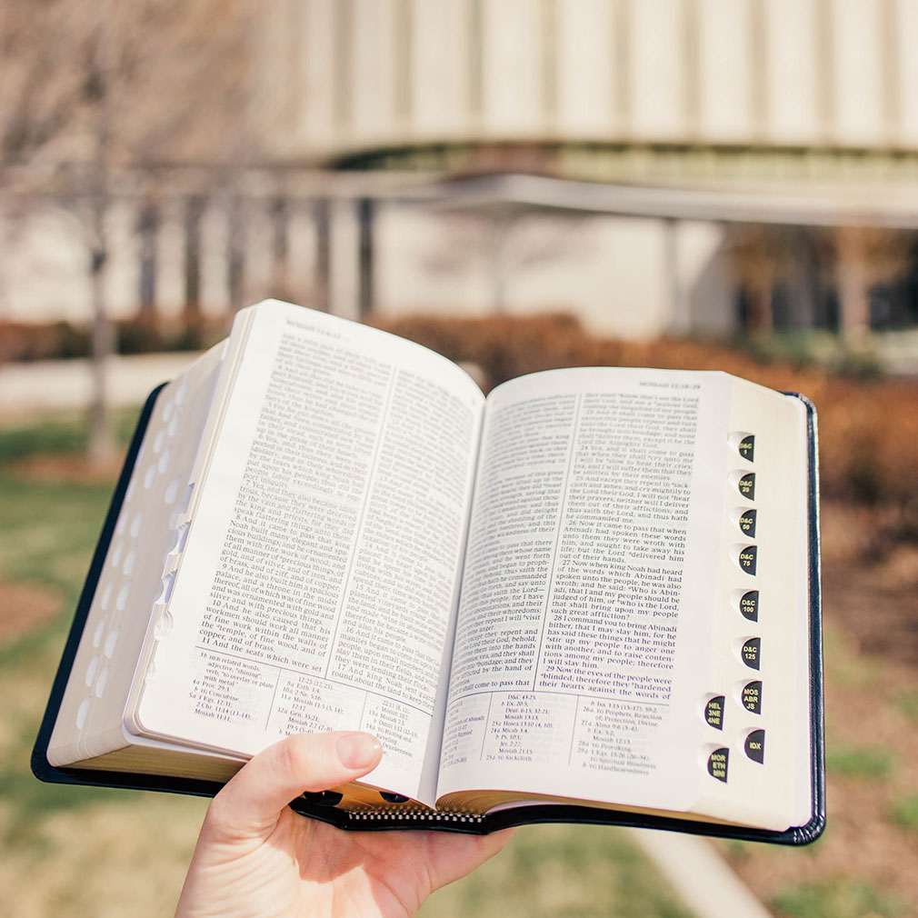 Simulated Leather Quad - LDS-QUADREG-SIM-2013-BLK