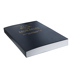 Softcover Book of Mormon 