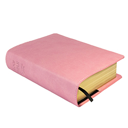 Bible Slip Cover - Pink pink lds scriptures, lds scriptures, pink lds scripture, pink bible, color bible scriptures, pink bible scriptures, scripture cover, lds scripture cover, slip cover, scripture slip cover