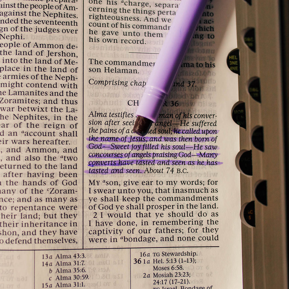 Scripture Gel Highlighters - LDP-GHIG