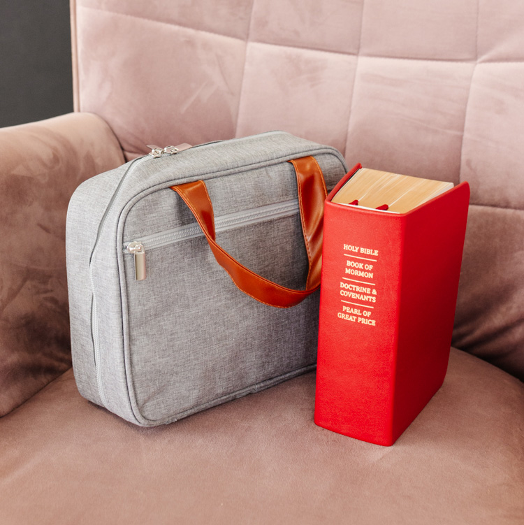 Scripture Case - Gray - LDP-SCC-GRY